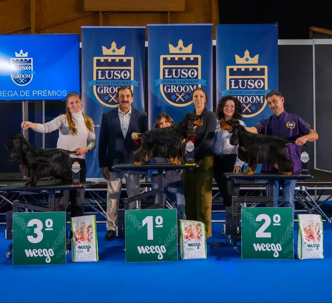 Podio del Luso Grooming Championship 2025 en Portugal con Jennifer Rodríguez y su cocker spaniel