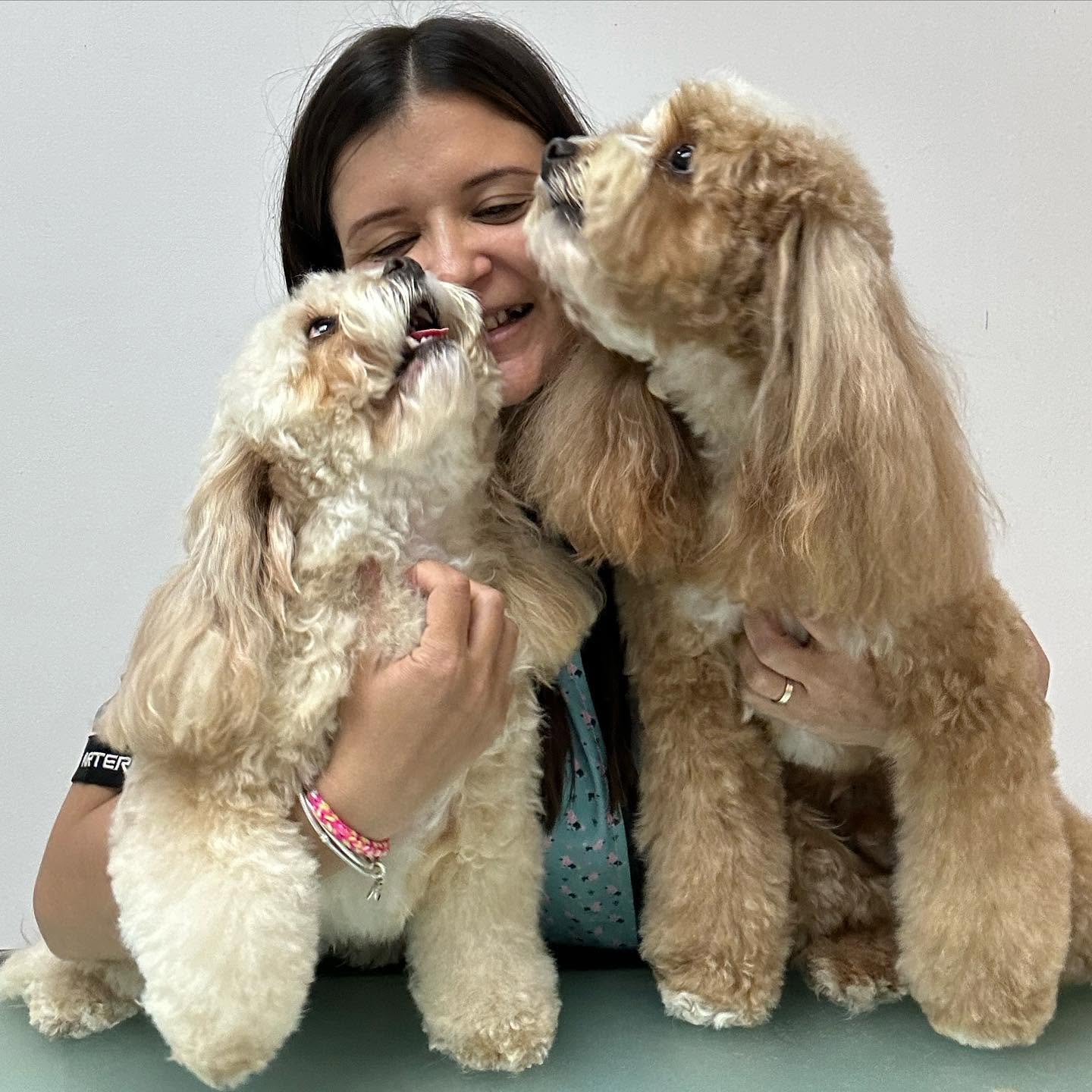 Jennifer trabajando con dos cockapoos en el salón