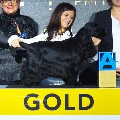 Jennifer Rodríguez con su cocker spaniel premiado en competición