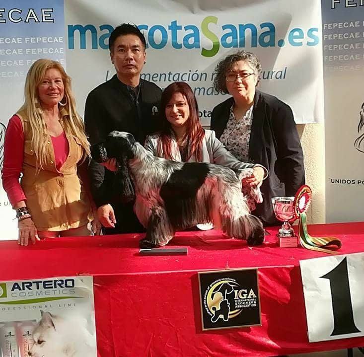Entrega de premios del campeonato de Marbella 2017 con Jennifer y su cocker spaniel